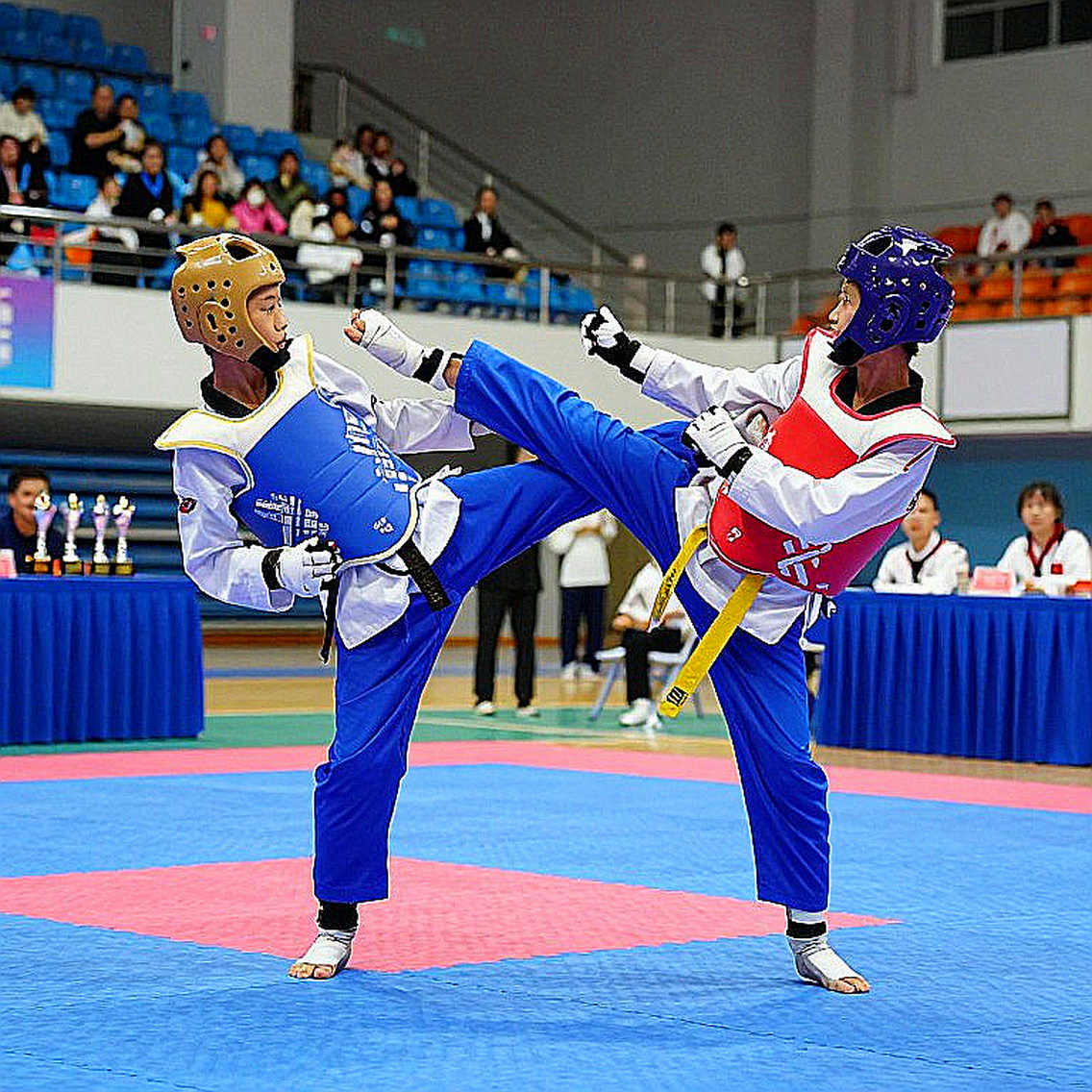 Chuncheon 2026: Nhịp đồng bộ của Taekwondo quyền Việt Nam và cái tên giữ nhịp qua hai chu kỳ